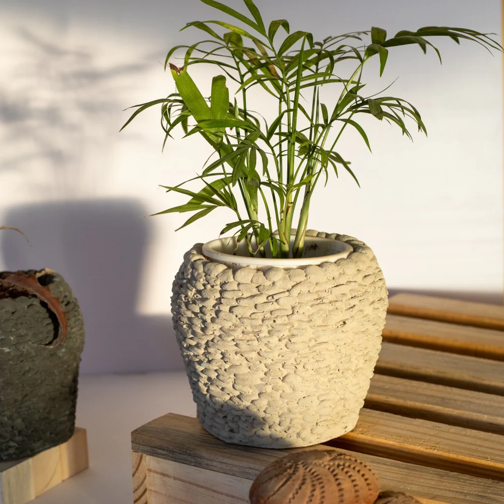 Concrete Plant Pot
